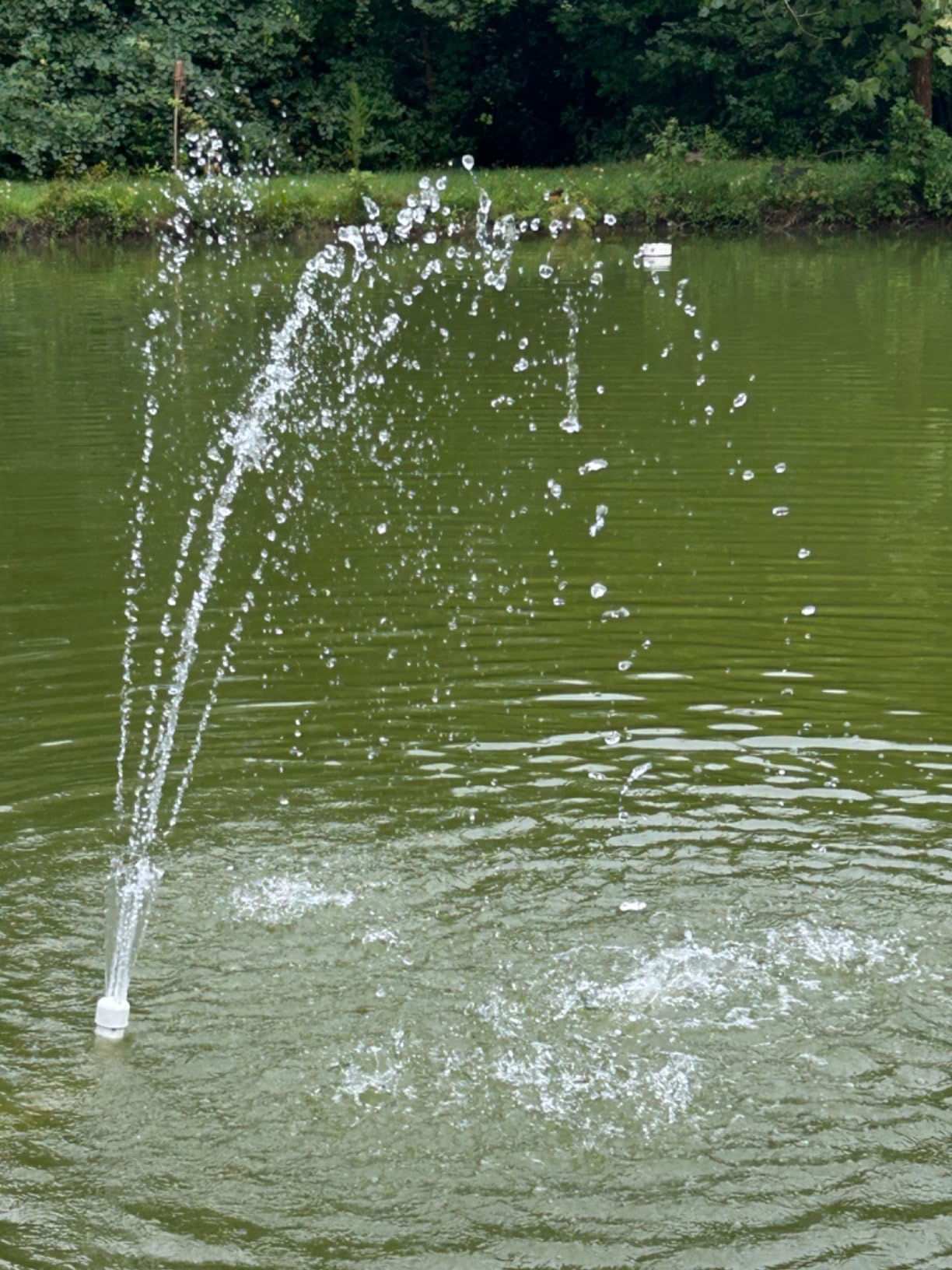 Flotec 1-1/2 HP 4020 gph Thermoplastic Sprinkler Pump customer photo 2
