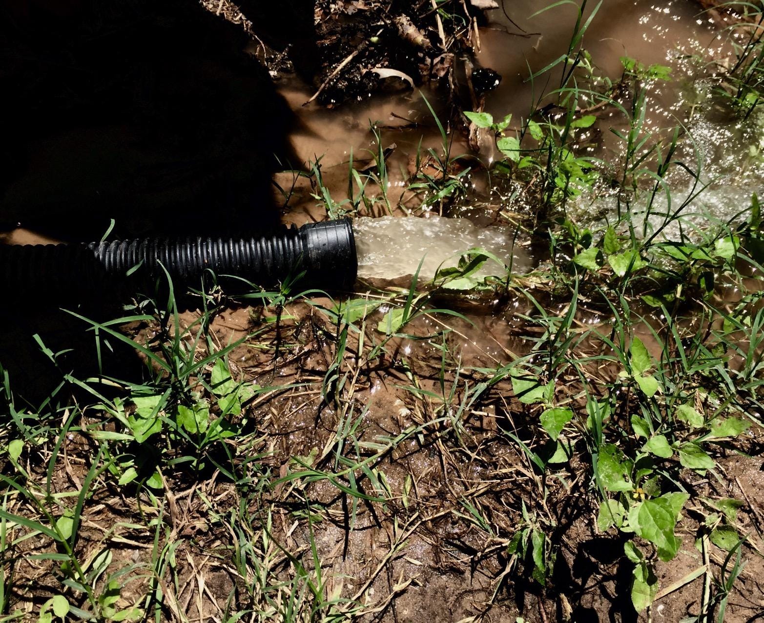 Superior Pump 92341 1/3 HP Cast Iron Submersible Sump Pump with Vertical Float Switch customer photo 1