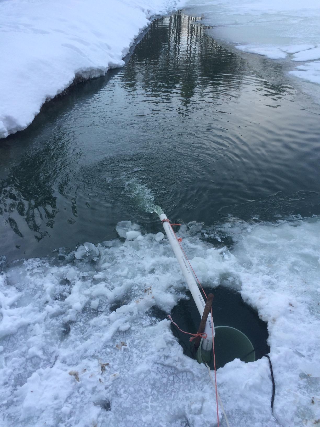 Superior Pump 92341 1/3 HP Cast Iron Submersible Sump Pump with Vertical Float Switch customer photo 2