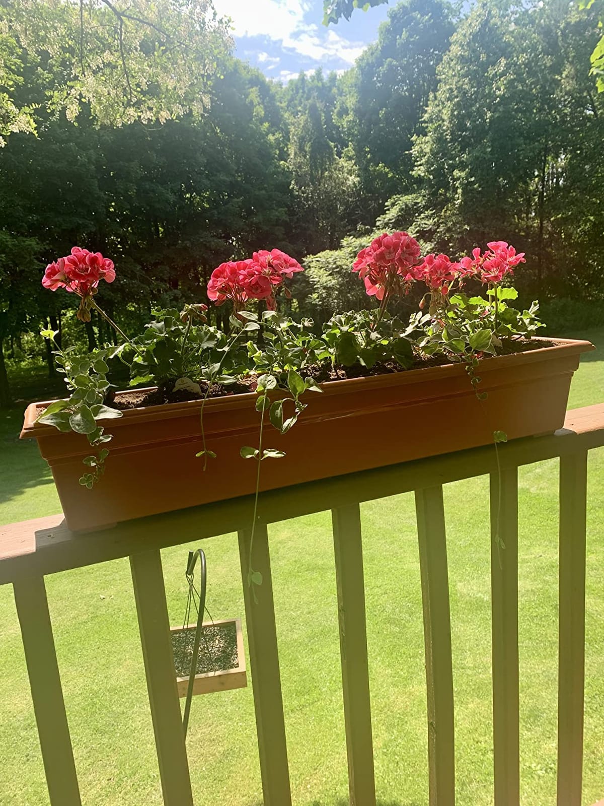 Novelty 16195, Terracotta, Countryside Flower Box Planter, 18-Inch customer photo 2
