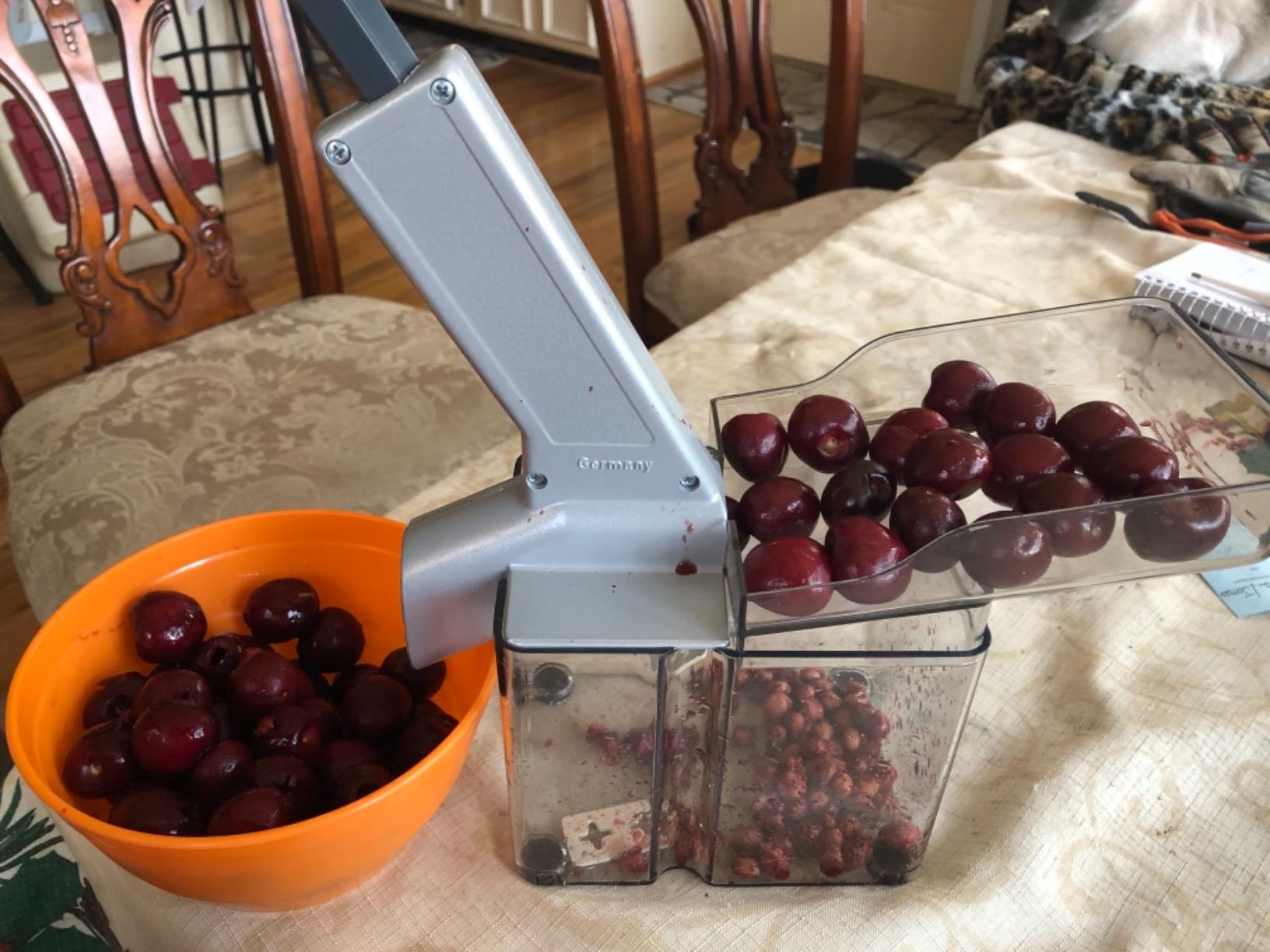 Westmark Kirschomat Cherry Pitter – High Capacity Cherry Stoner, 33 lbs/Hour, Stainless Steel Plunger, Large Pit Container, Manual Cherry Seed Remover, Ideal for Pies, Canning, Silver/Black customer photo 1