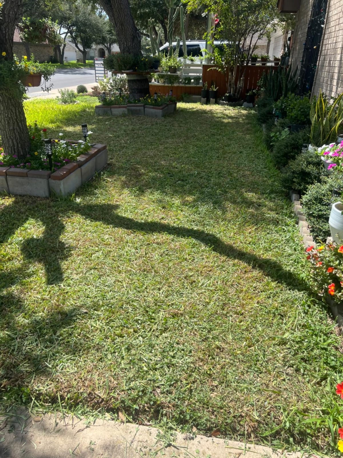 Scotts 304-14S 14-Inch 5-Blade Push Reel Lawn Mower, Green customer photo 2