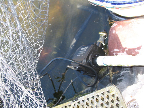 Tetra Pond Water Garden Pump, 1081 GPH customer photo 1