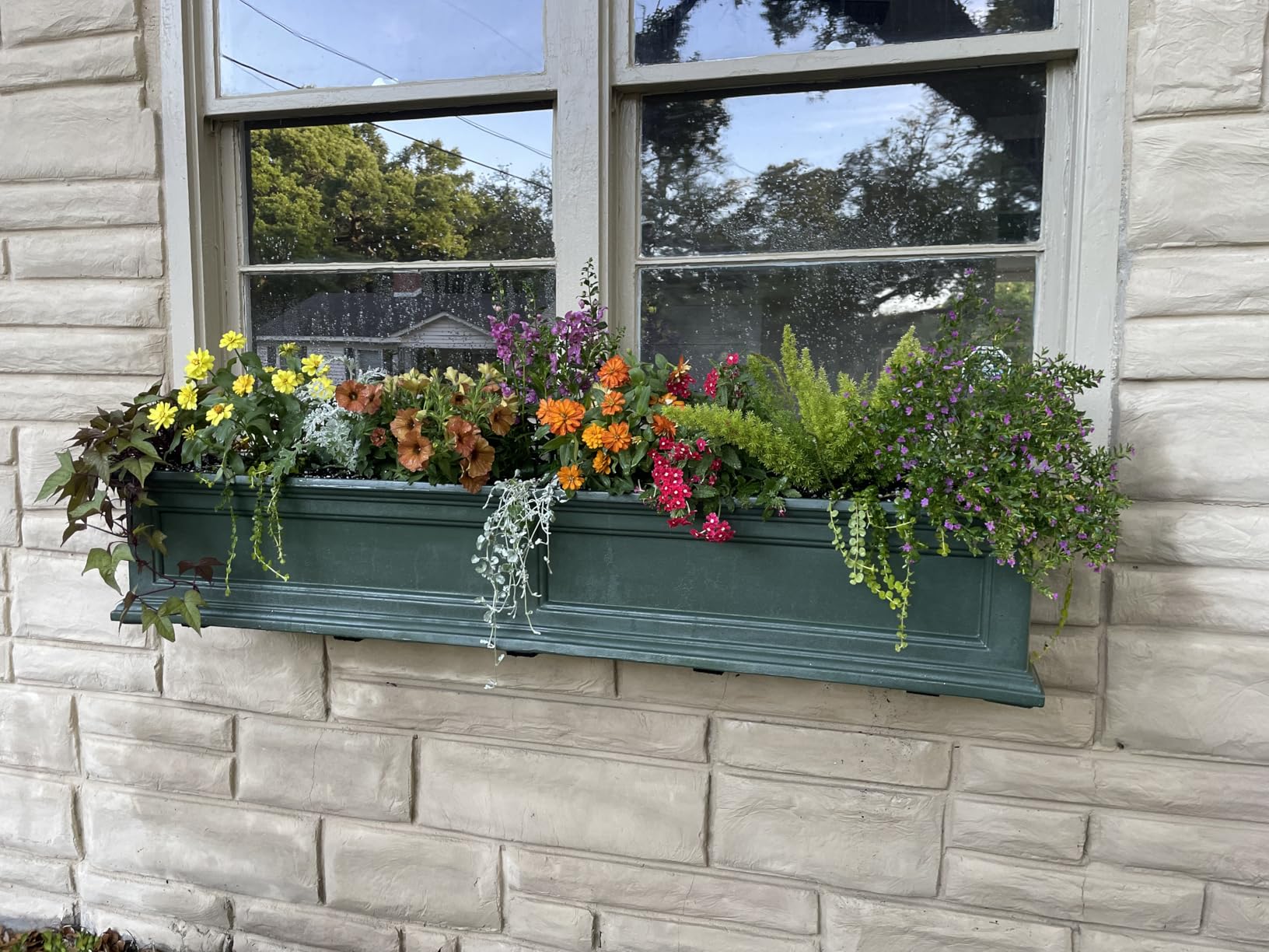 Mayne Fairfield 48in Self-Watering Rectangular Window Box Planter, Black customer photo 1