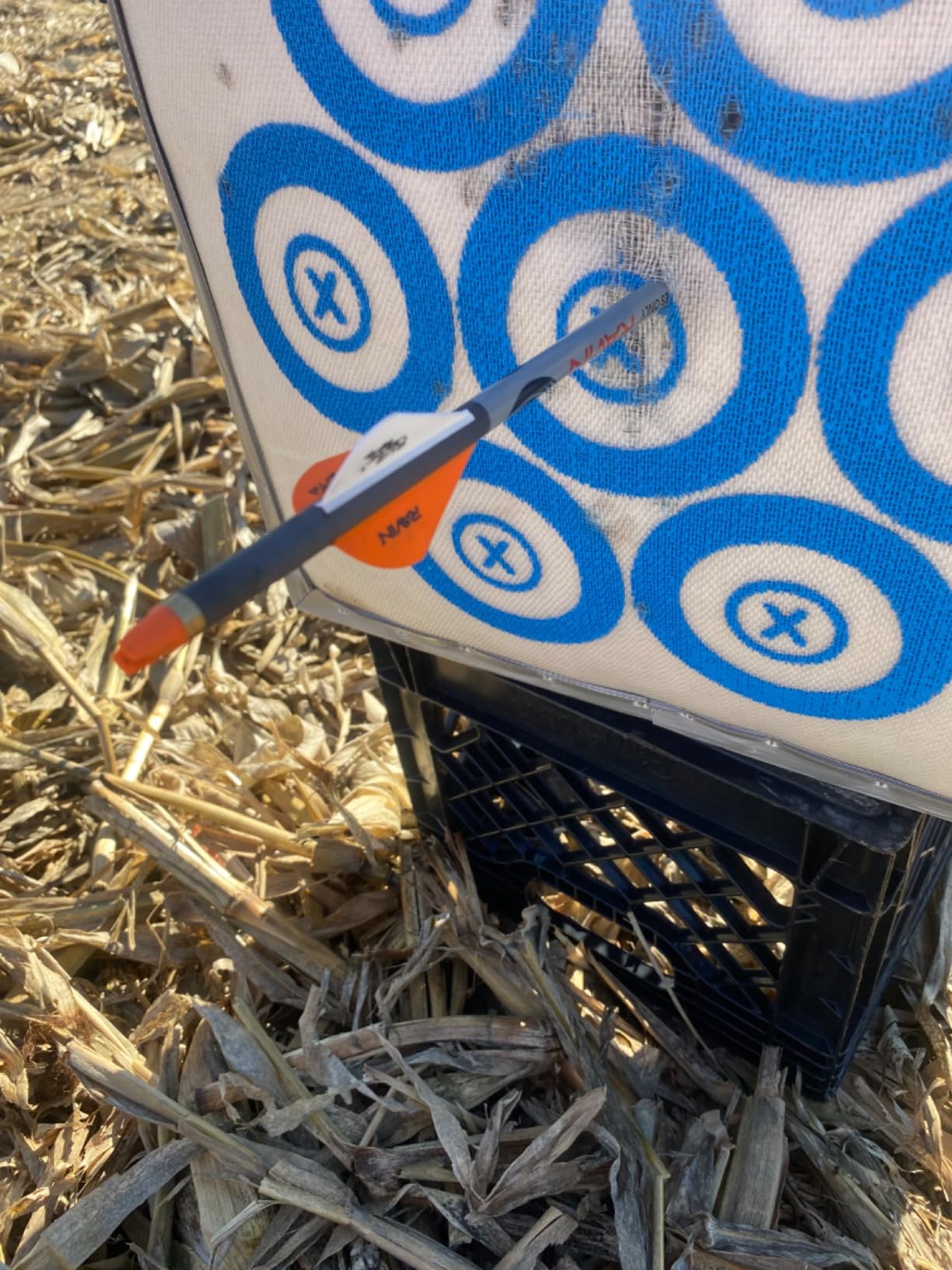 SpyderWeb 18XL No Speed Limit Crossbow Target 500+ FPS customer photo 1