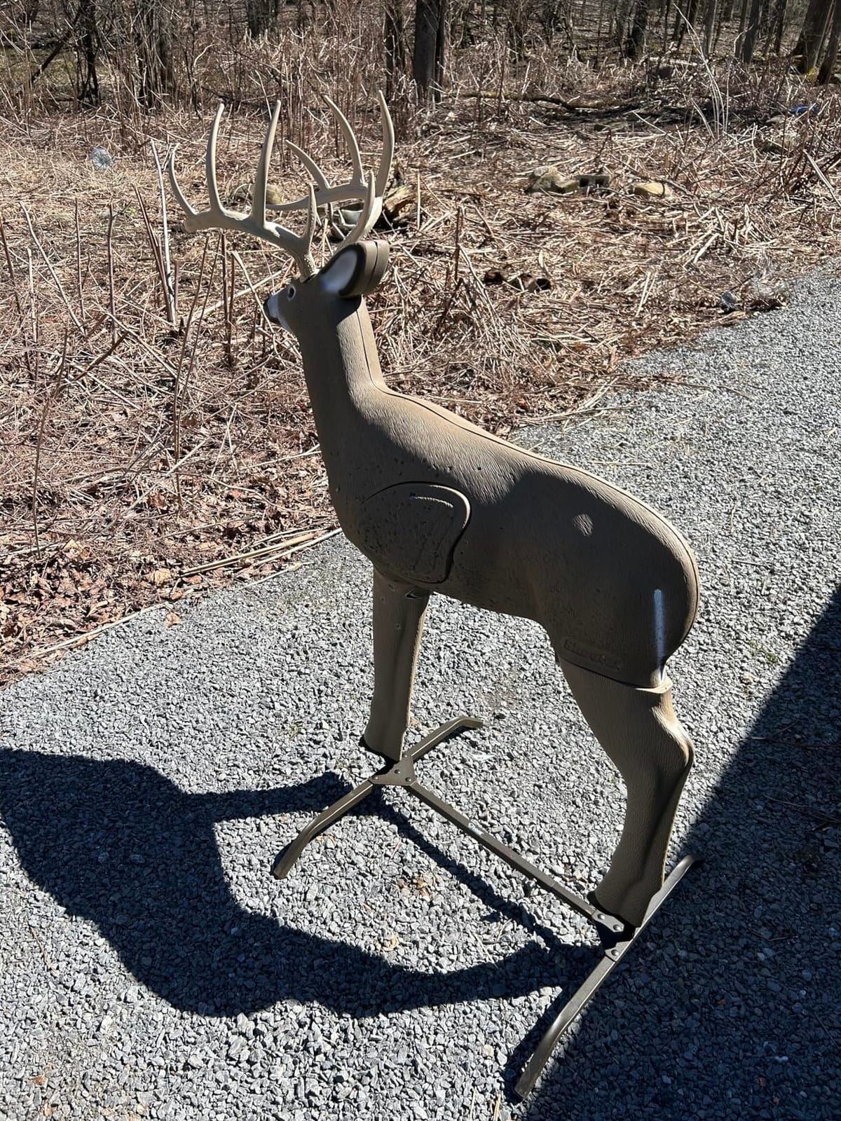 SHOOTER Buck 3D Archery Target, Replaceable Insert for Long Life, Weather-Resistant Construction, High-Density Impact-Response Foam Withstands Field Points, Broadheads, and Expandables customer photo 1