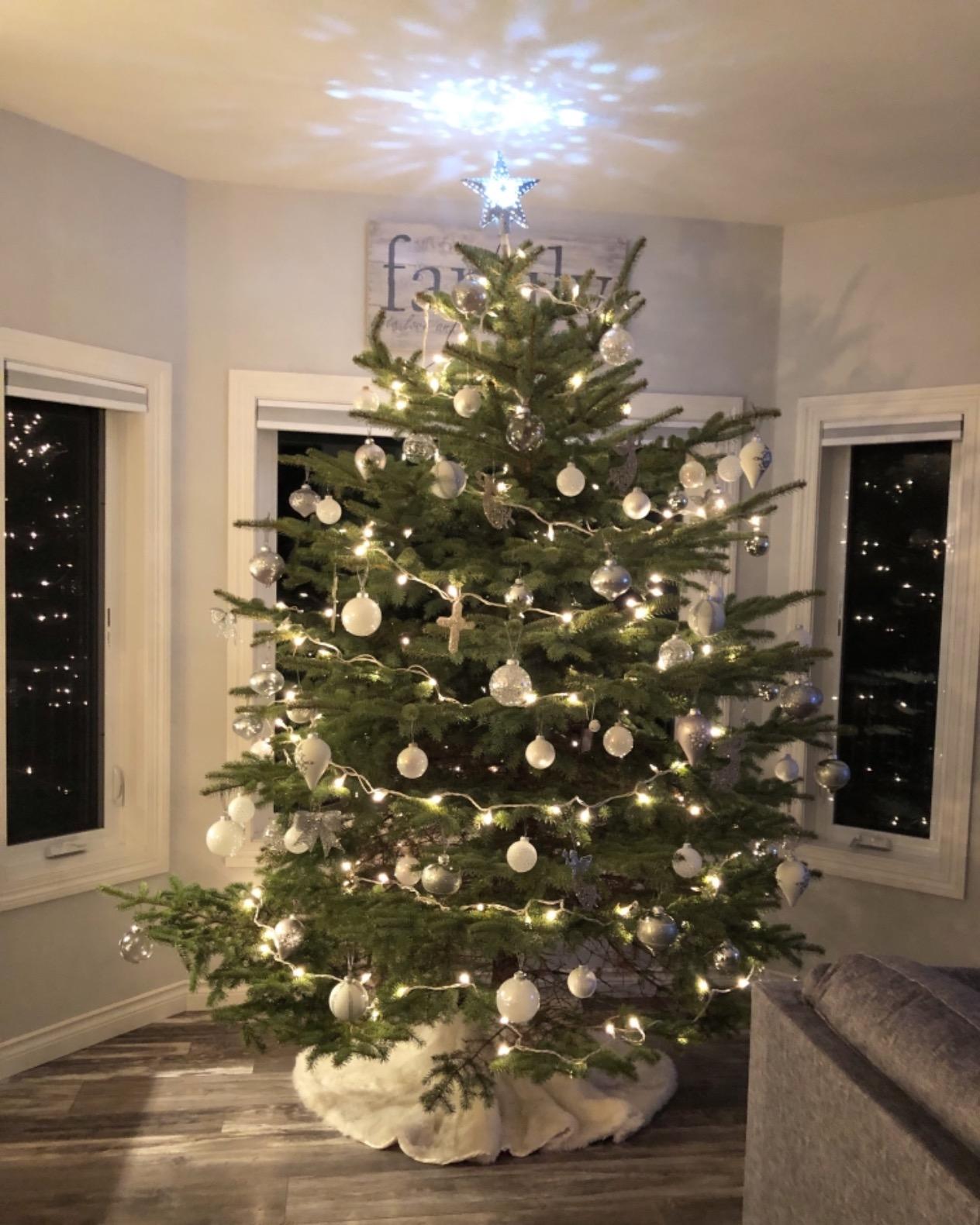 Good Tidings C148E Stand Express Tree with Ratcheting Fastener System, 10-Foot customer photo 1