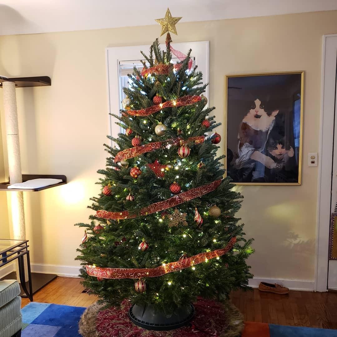 Good Tidings C148E Stand Express Tree with Ratcheting Fastener System, 10-Foot customer photo 2