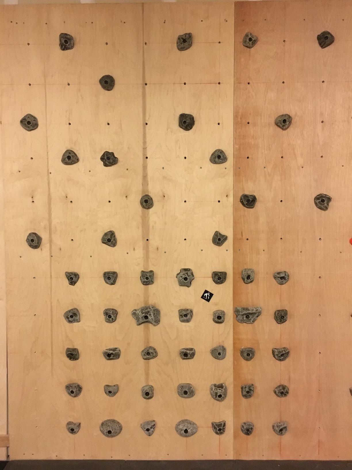 50 PCS Rock Climbing Holds for Rock Climbing Wall Made in USA customer photo 2