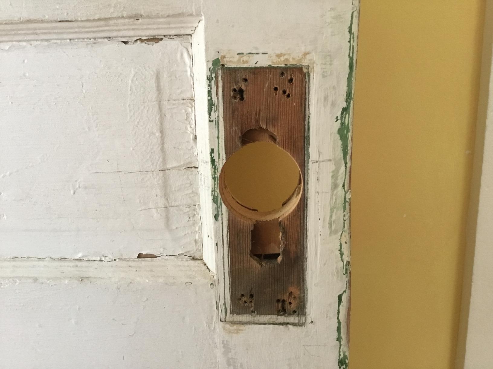 Prime-Line U 9585 Stainless Steel Lock and Door Reinforcement Plate customer photo 1