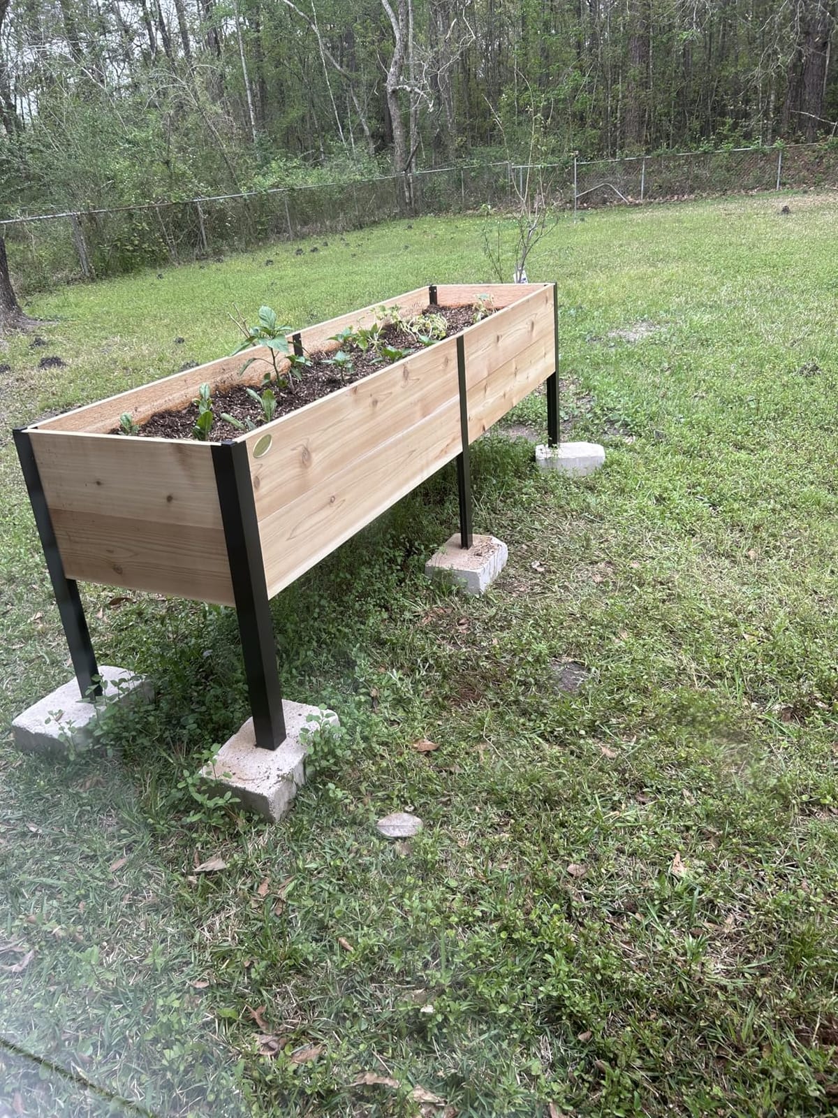 Gardener's Supply Company Elevated Cedar Raised Garden Bed 2' x 8' customer photo 1
