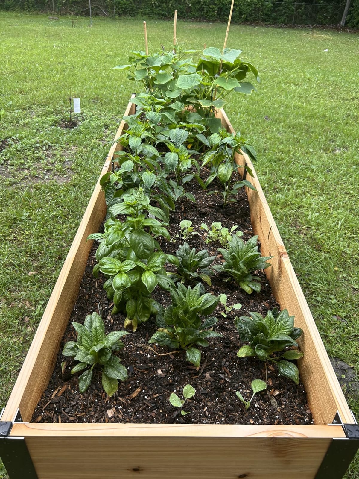 Gardener's Supply Company Elevated Cedar Raised Garden Bed 2' x 8' customer photo 2