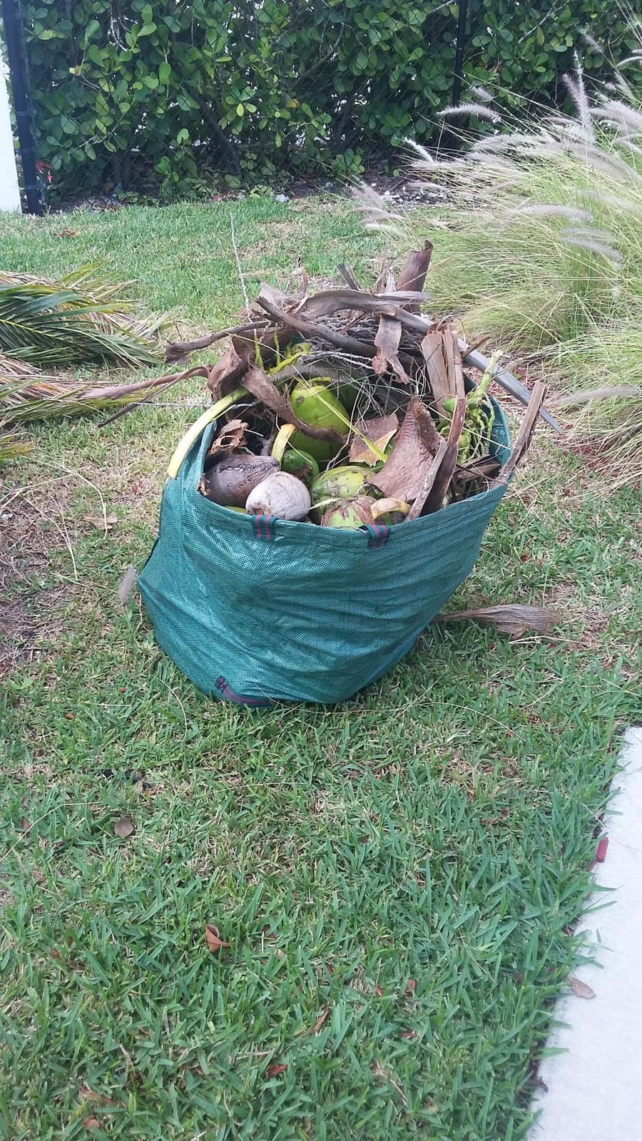GardenMate 3-Pack 72 Gallons Reusable Garden Waste Bags (H30, D26 inches) - Yard Waste Bags customer photo 1