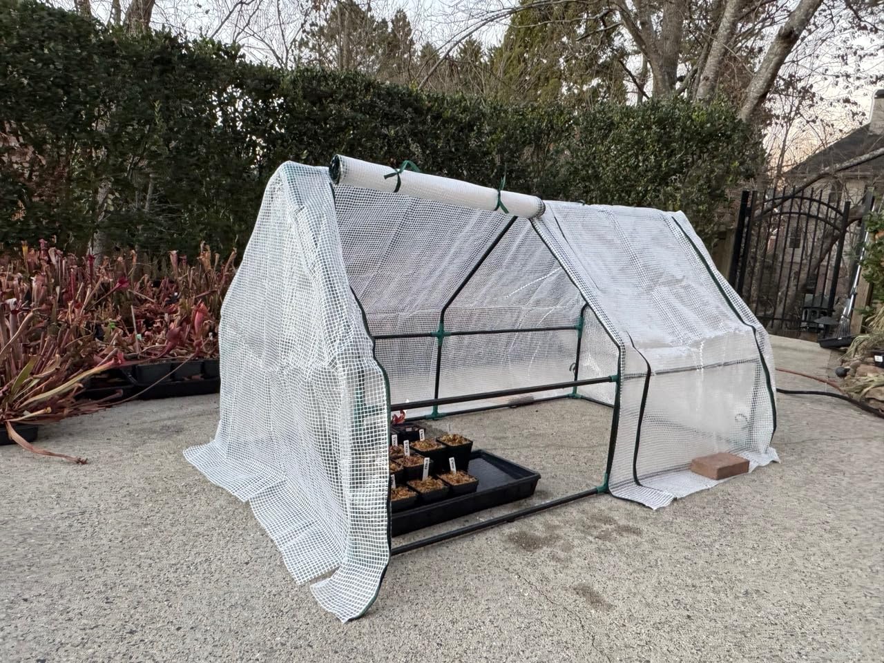 Outsunny 9' x 3' x 3' Mini Greenhouse Portable with Zippered Doors Green customer photo 2