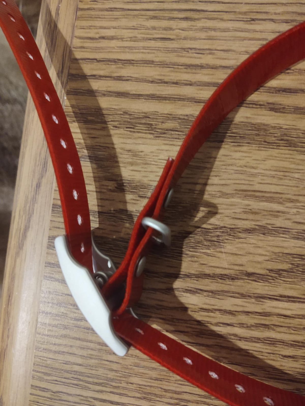 Garmin PT10 Dog Device Red Collar (Pro 70/Pro 550) customer photo 1