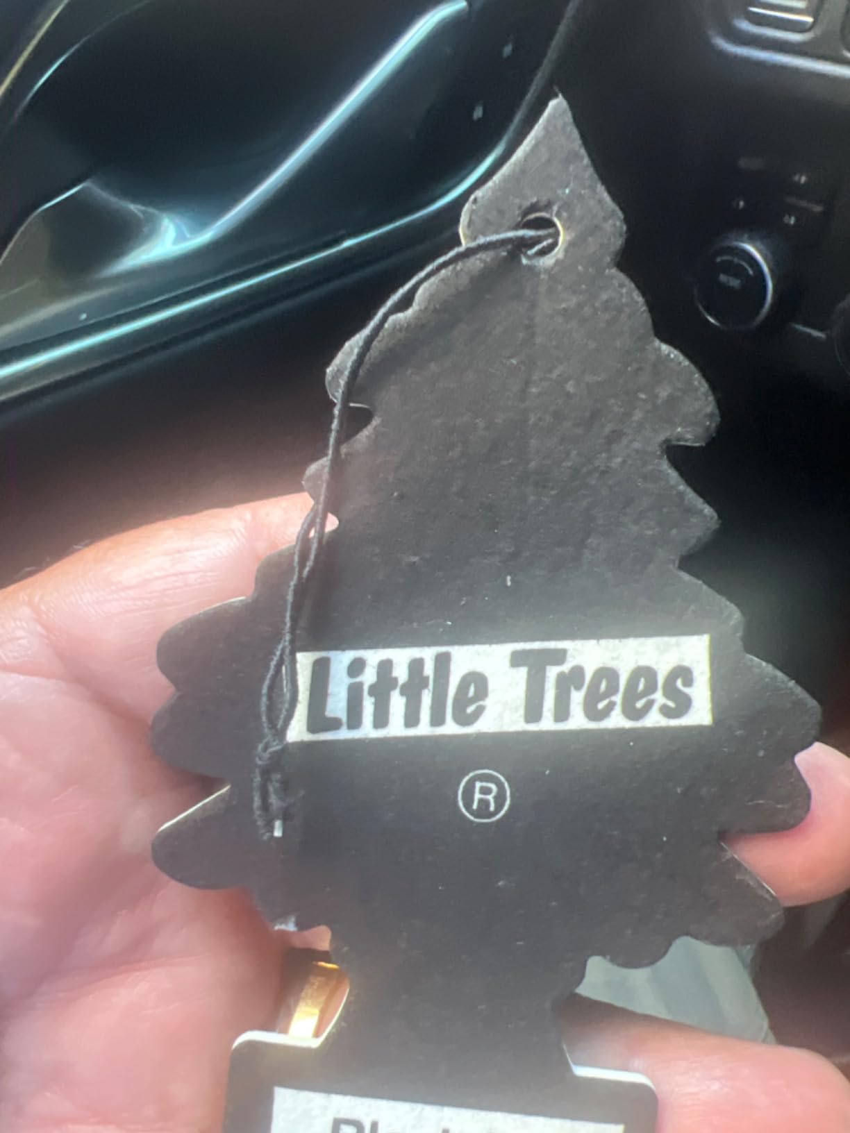 LITTLE TREES Car Air Freshener | Hanging Tree Provides Long Lasting Scent for Auto and Home | Black Ice, 24 Air Fresheners customer photo 1