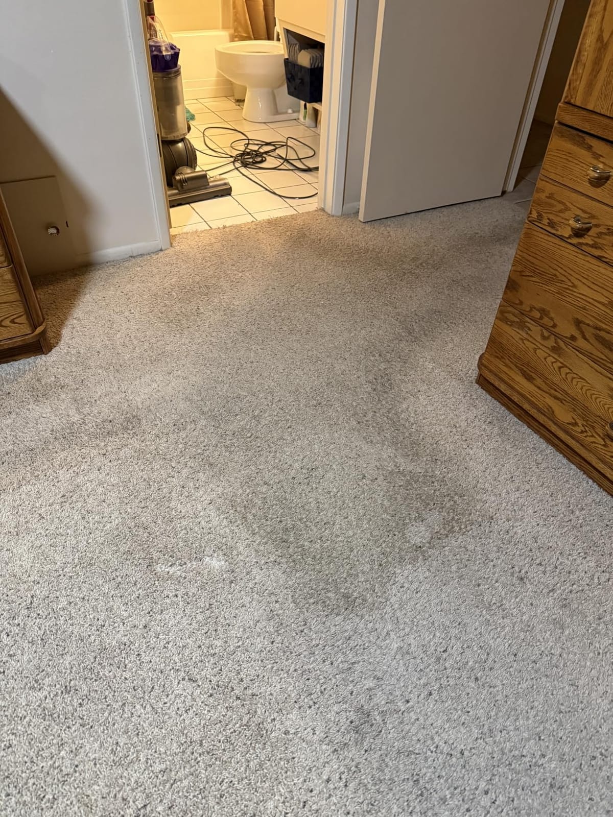 Sunny & Honey Carpet Cleaner Shampoo Solution for Machines, 32floz Mint customer photo 1