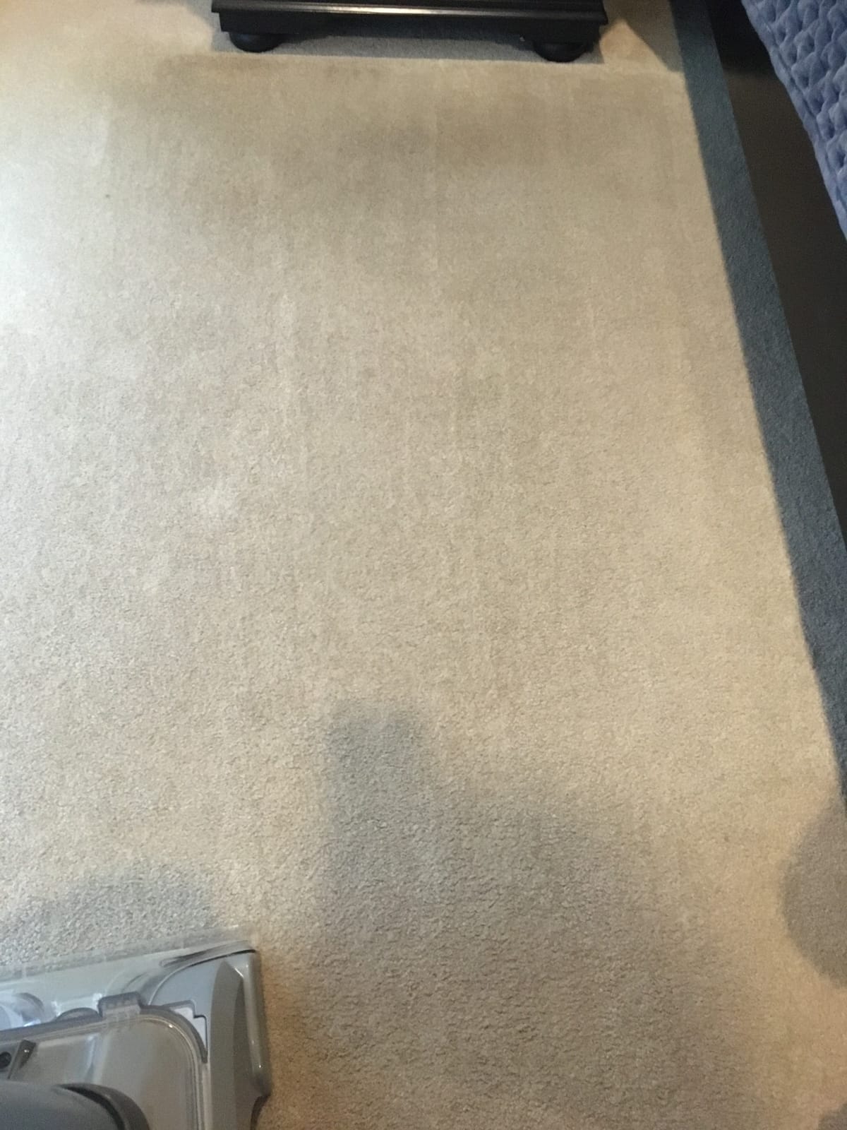 Sunny & Honey Carpet Cleaner Shampoo Solution for Machines, 32floz Mint customer photo 2
