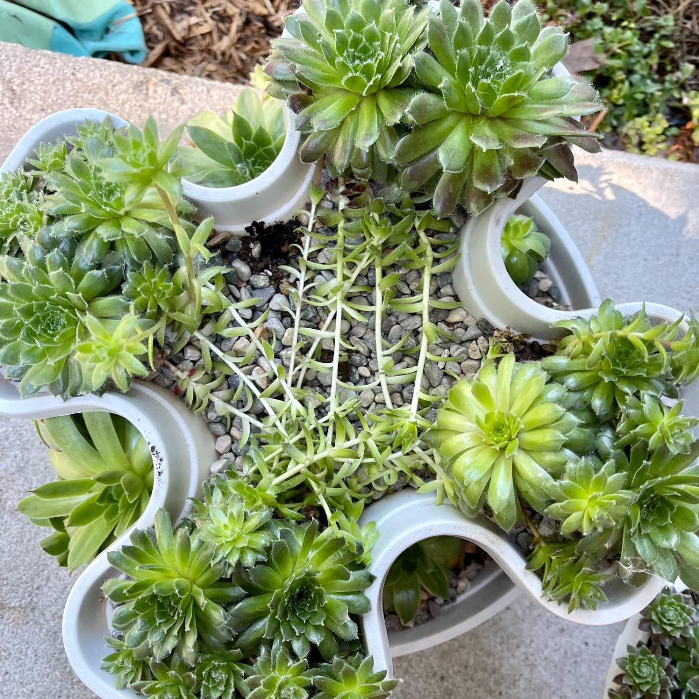 Mr. Stacky Self Watering 3 Tier Stackable Garden Vertical Plastic Planter Set, Hunter Green customer photo 1