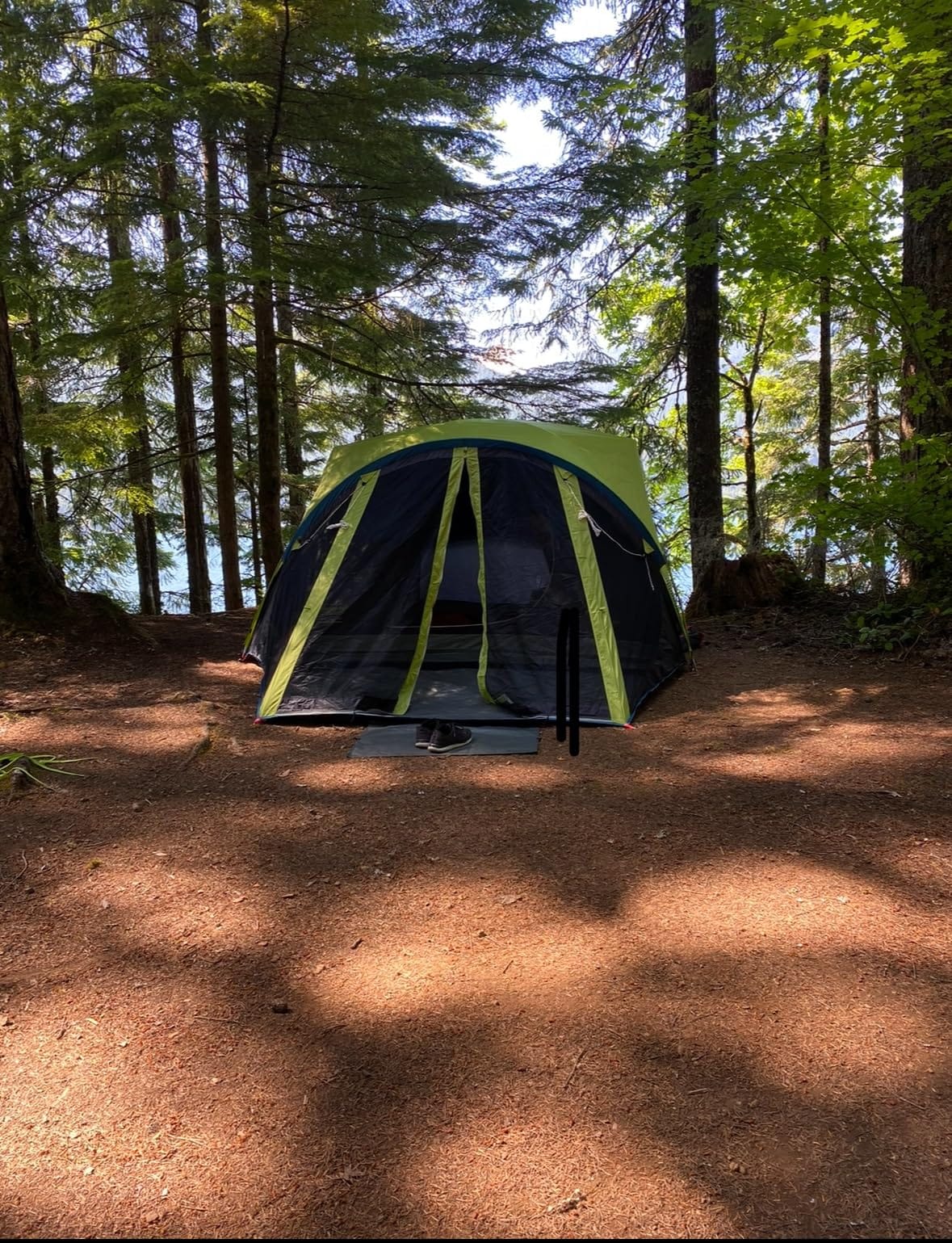 Coleman Carlsbad Dark Room Tent with Screened Porch, 4/6 Person Tent Blocks 90% of Sunlight to Keep Inside Cool, Weatherproof Shelter with Easy Setup customer photo 1