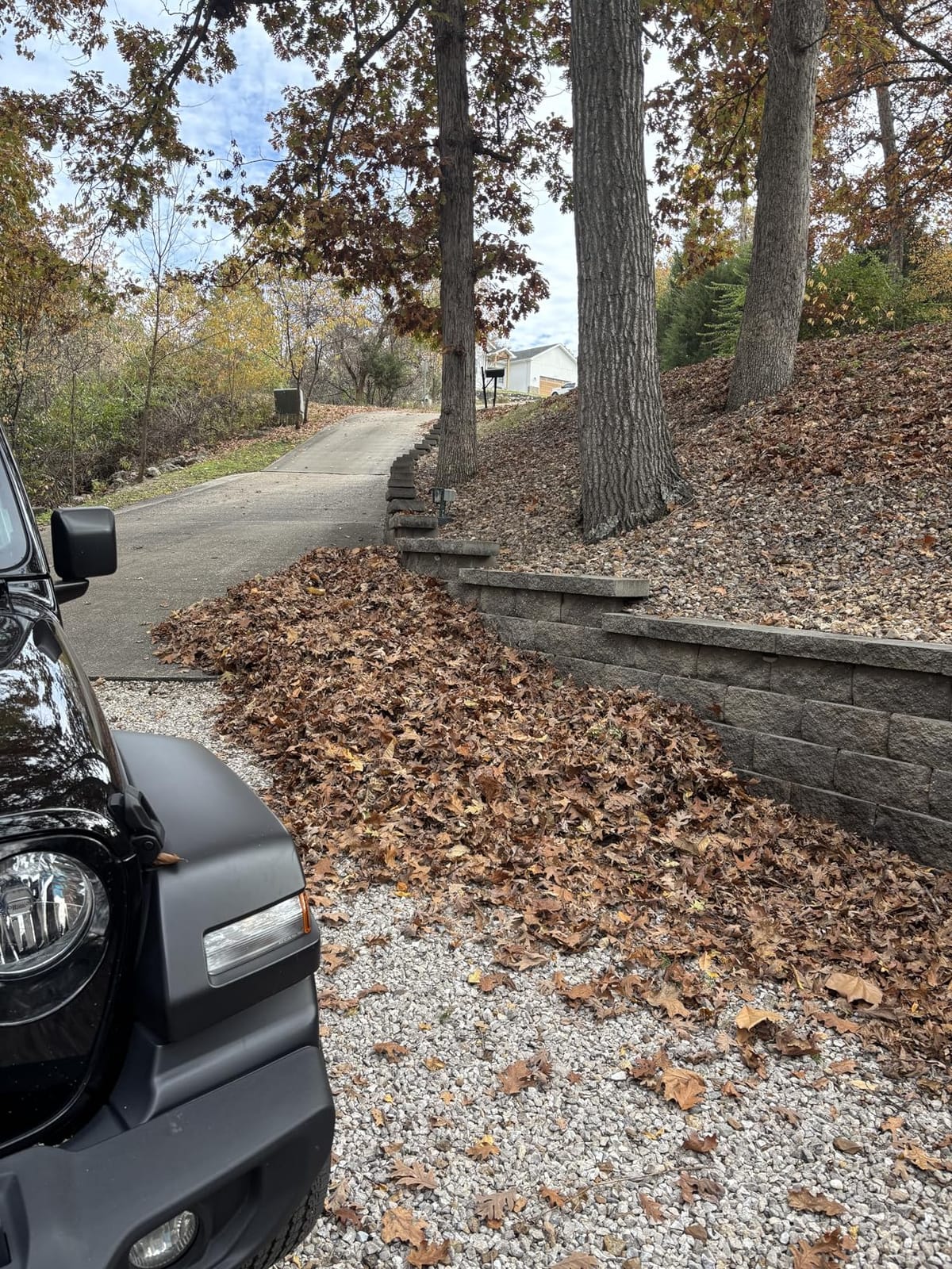 WORX 12 Amp Turbine Electric Leaf Blower for Daily Leaf Removal, WG520 | 600CFM & 110MPH Airflow, 2-Speed Control for Daily Yard Debris Clearing, Corded customer photo 1
