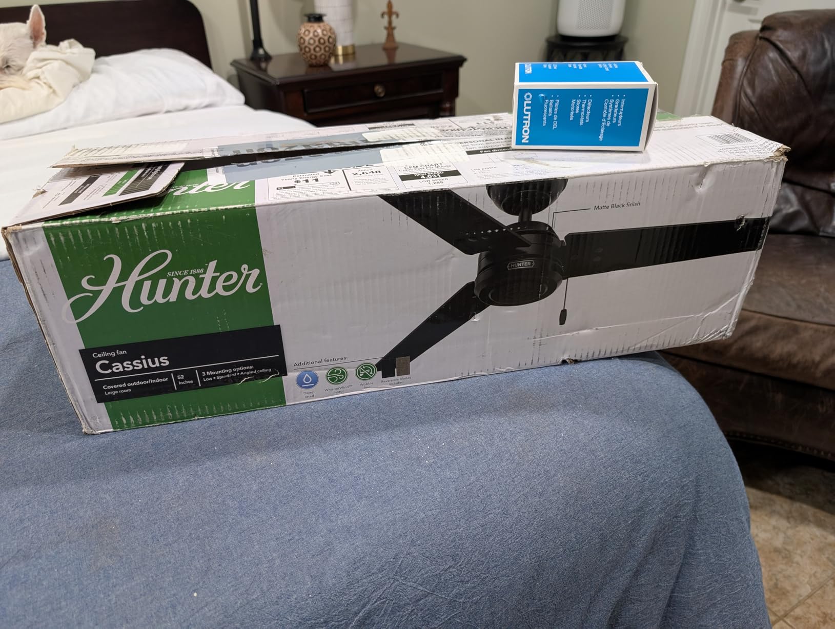Hunter Cassius, Outdoor or Indoor, Ceiling Fan, 52 inch, Fresh White customer photo 2