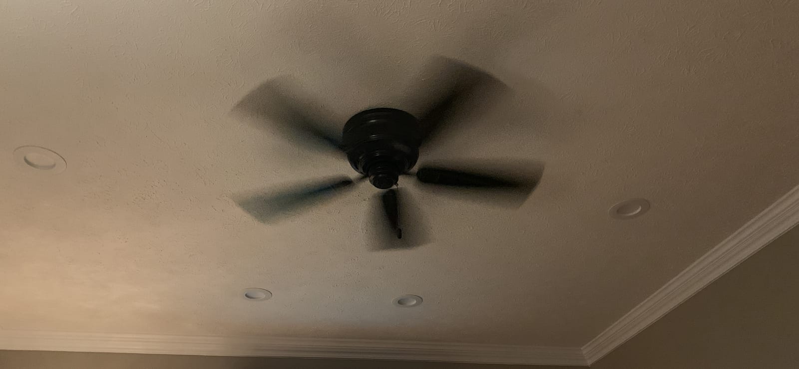 Hunter Sea Wind, Outdoor or Indoor, Ceiling Fan, 48 inch, Matte Black customer photo 1