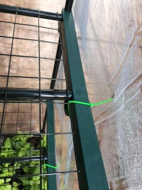 4 Tier Mini Greenhouse - Portable Greenhouse with Locking Wheels and PVC Cover for Indoor or Outdoor Green House by Pure Garden customer photo 2