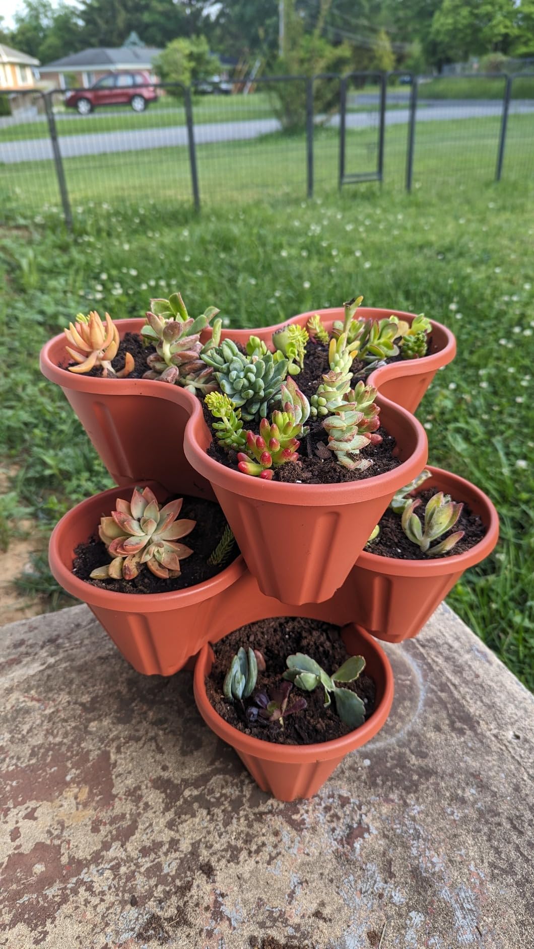 Stacking Planter Tower- 3-Tier Space Saving Flower Pots- Set of 3 Indoor/Outdoor Vertical Herb & Vegetable Garden by Pure Garden (Terracotta Colored) customer photo 1