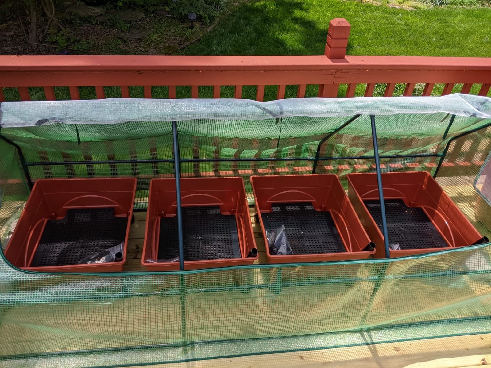 Quictent Mini Greenhouse for Indoor Outdoor, Portable Quick-Setup Tabletop customer photo 1