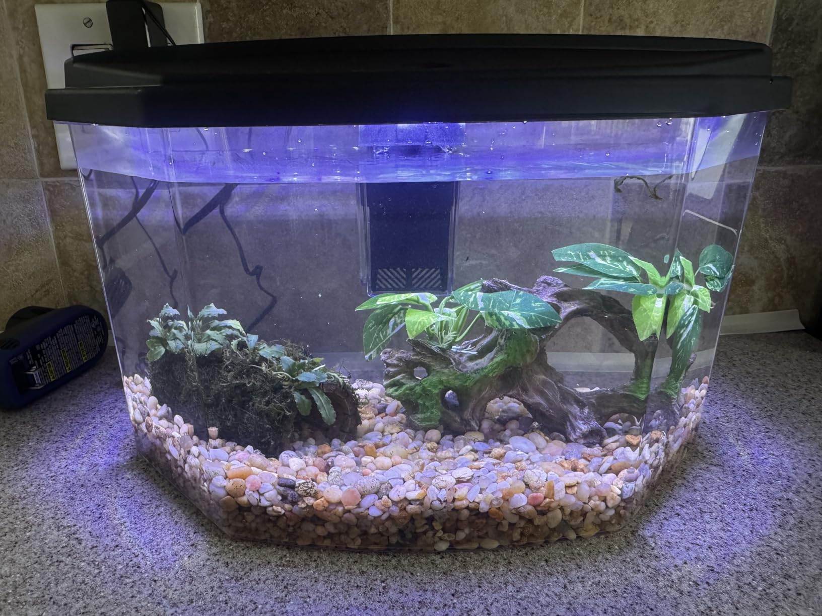 Koller Products Plastic 3-Gallon Aquarium Starter Kit with 4 Colors LED Lighting and Complete Filtration, Ideal for a Variety of Tropical Fish, Betta Fish, Tropical Fish, Cichlids, Ornamental Shrimp customer photo 1