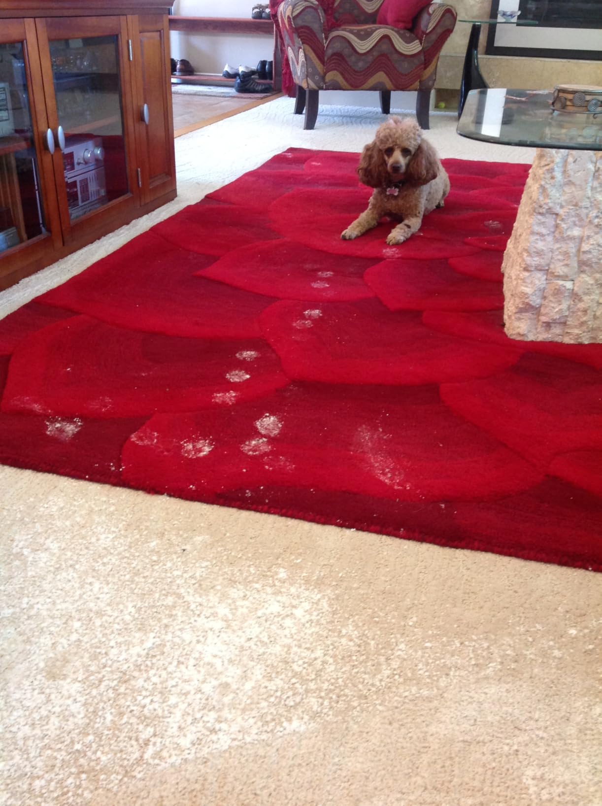 Capture Carpet & Rug Dry Cleaner Carpet Deodorizer & Freshener Powder 2.5lb customer photo 2