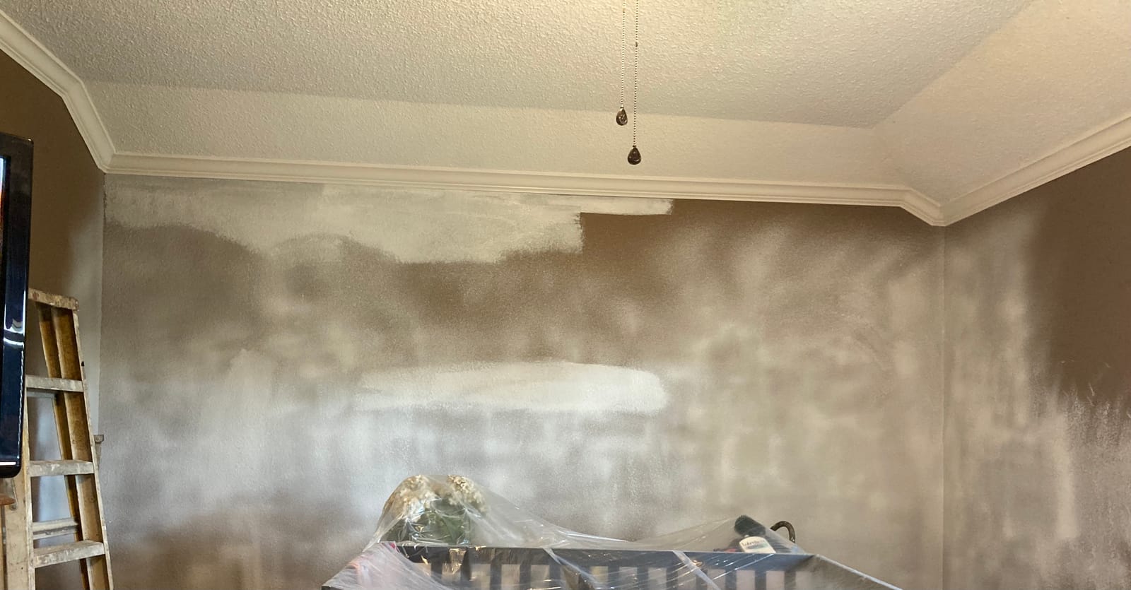 Wagner Control Spray 250 customer photo 2