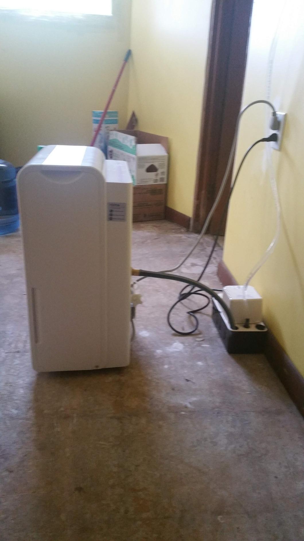 hOmeLabs Dehumidifier 7,000 Sq Ft 50 Pint (MAX 120 Pint at 95°F, 90% RH) customer photo 2