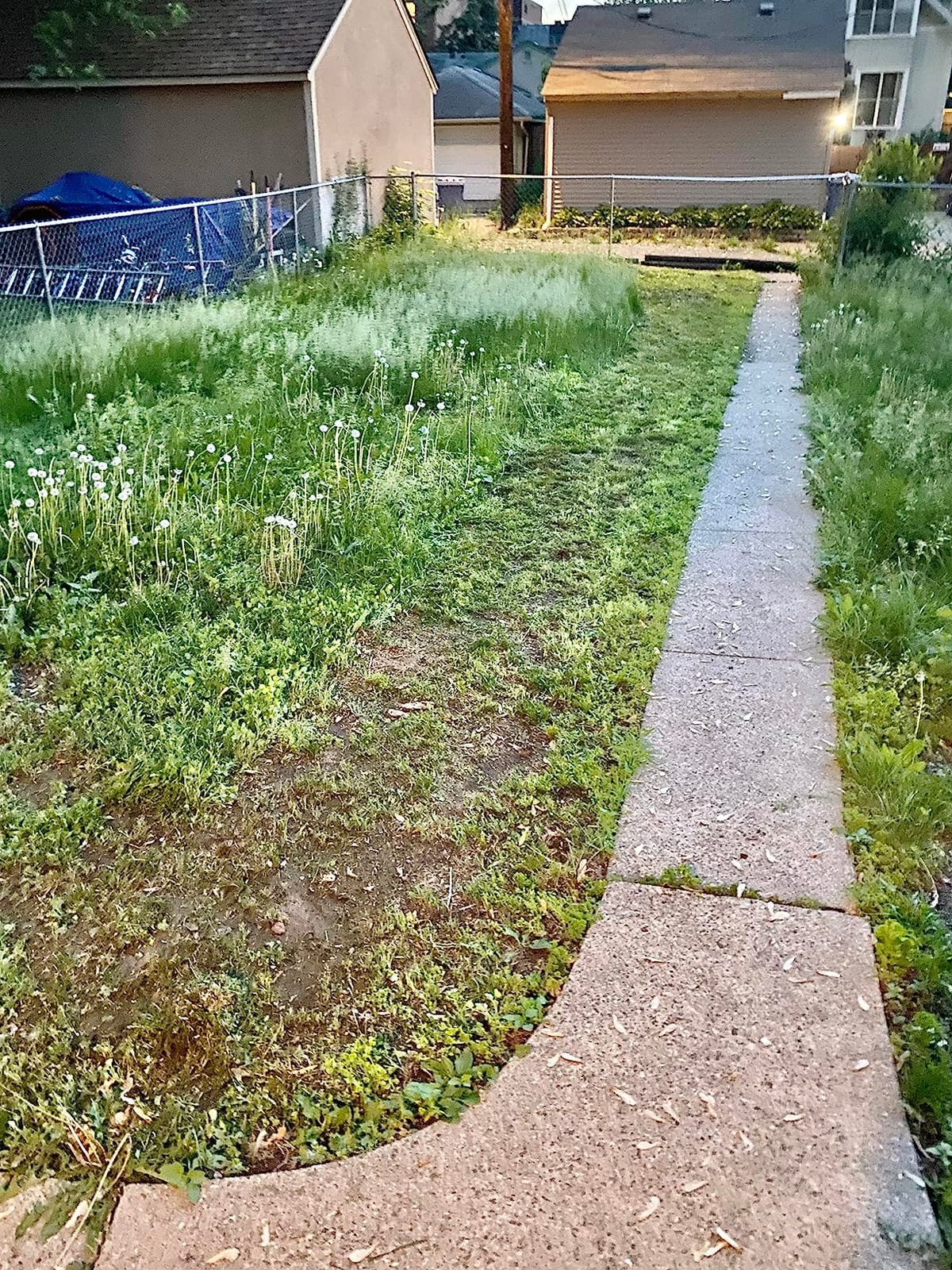 BLACK+DECKER Electric Lawn Mower with Bike Handle, 15-Inch, 10-Amp, Corded (BEMW472BH) customer photo 2