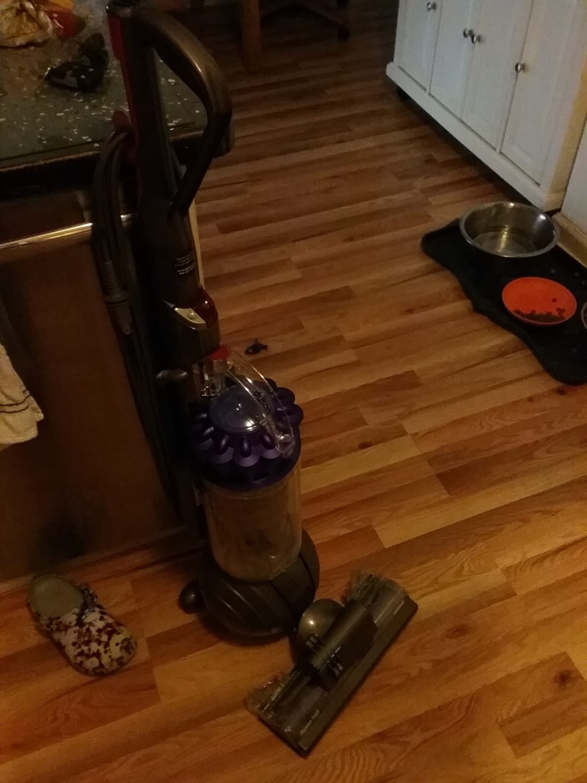 Dyson Ball Animal 3 customer photo 1