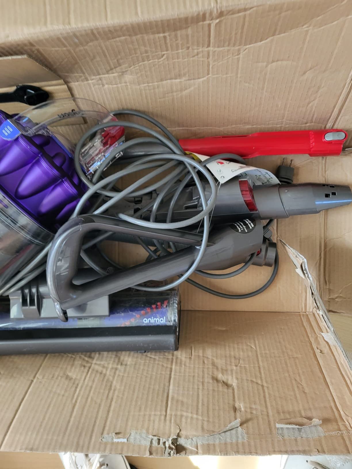 Dyson Ball Animal 3 customer photo 2