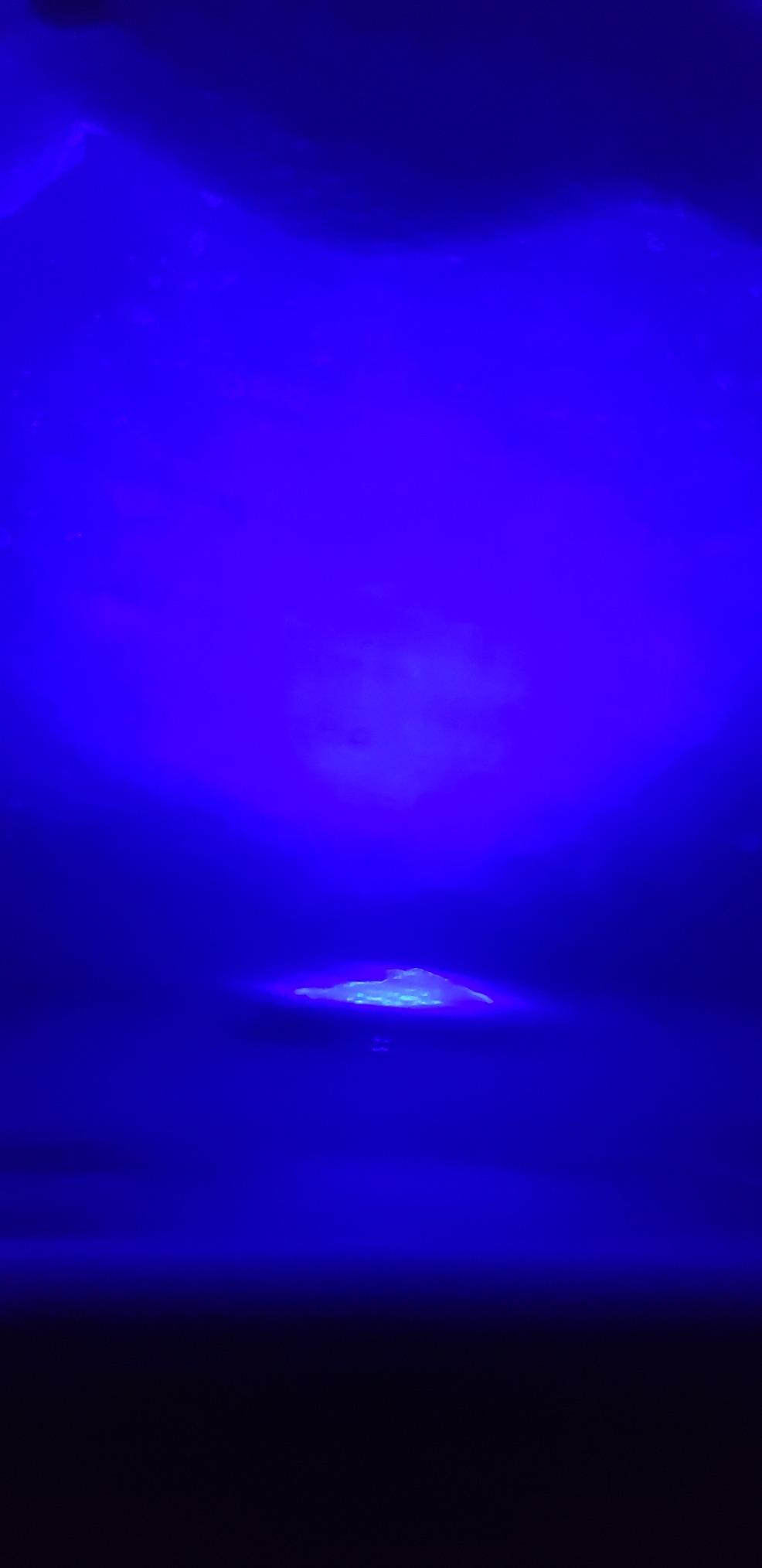 LED Pool Light Bulb for Inground Pool, 2026 Upgraded 120V 40W Color Changing Swimming Pool Lights Underwater Pool Light Bulb, E26/E27 Base Replacement for Pentair & Hayward (120V-RGB+White) customer photo 1