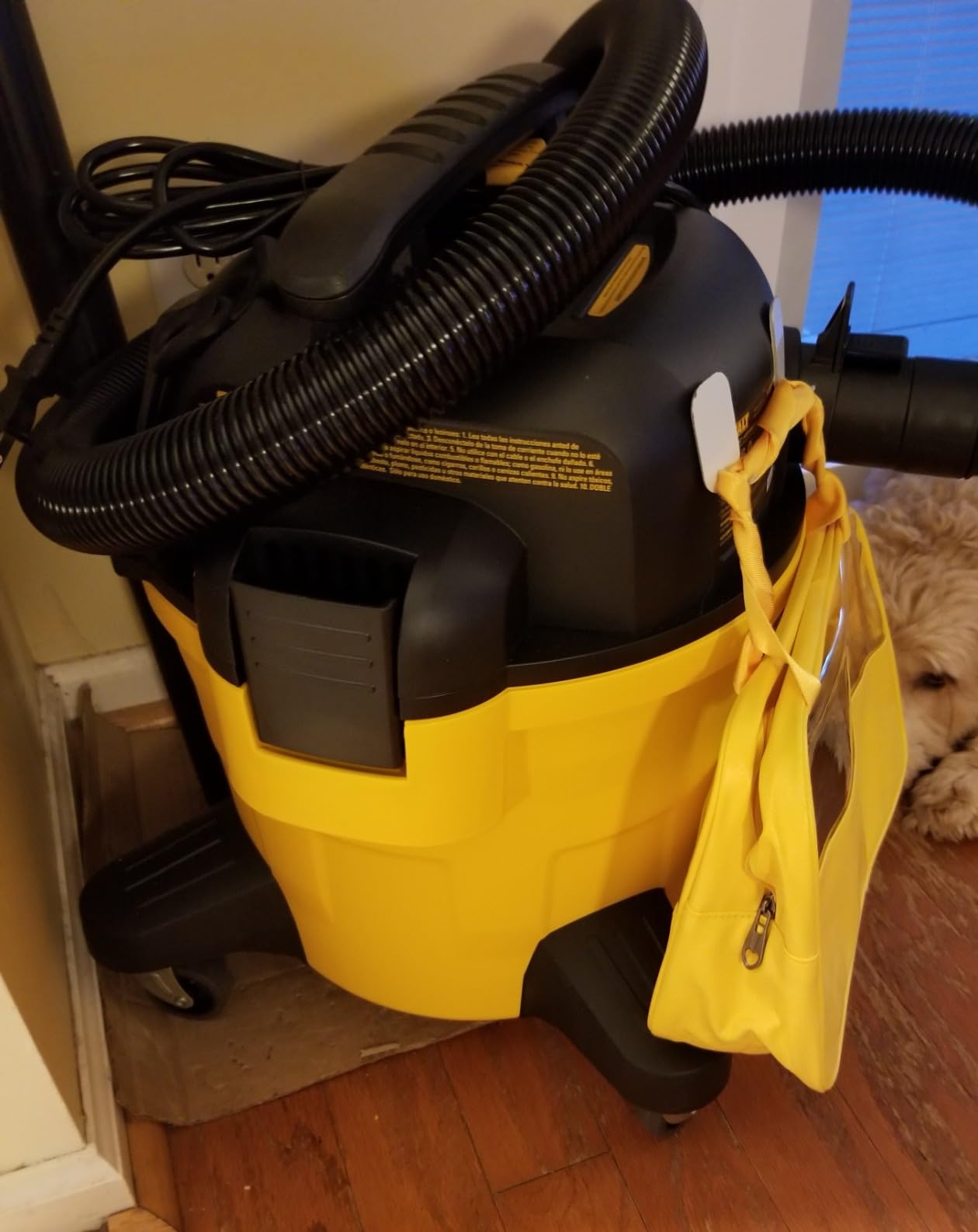 DEWALT Shop Vacuum 6 Gal 4 HP Poly Wet/Dry Vacuum with Blower DXV06P | Wet/Dry/Blower 3-in-1 Portable Poly Tank Shop Vacuum Rubberized Casters Easy Moving Ideal for Garage/Workshop/Jobsite customer photo 1