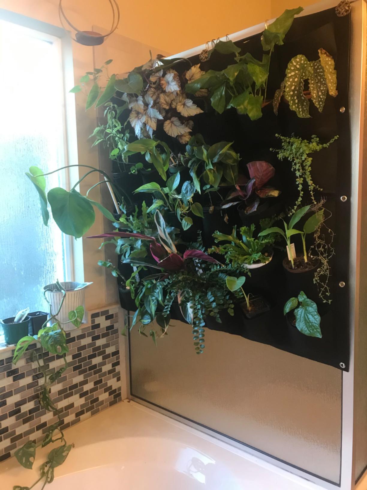 Ogrmar 36 Pockets Wall Planter Breathable Vertical Garden Planter Grow Bag | Plant Wall Hanging Pockets for herbs, flowers, vegetables&strawberries, Felt fabric, easy hanging for indoor and outdoor use customer photo 1