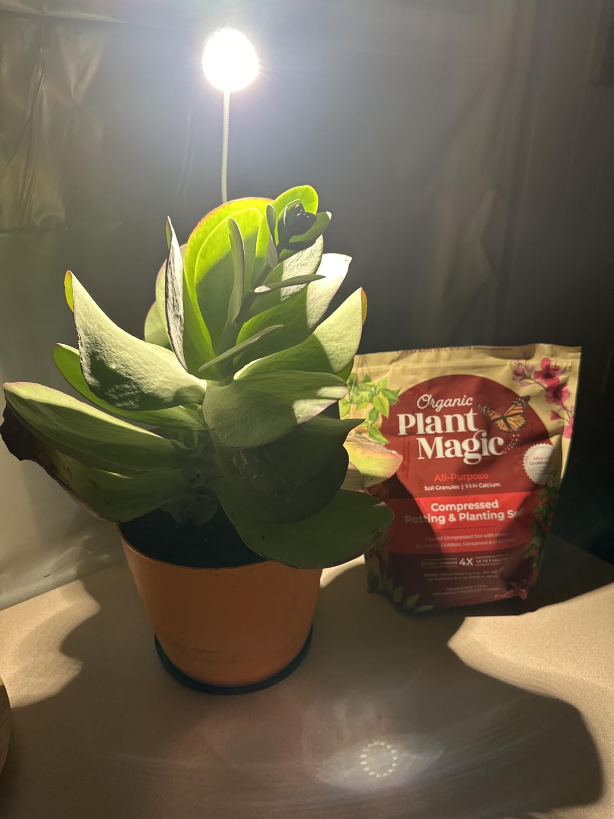 Compressed Organic Potting Soil for Garden, Plants & Vegetables - Expands 4x When Mixed with Water - Indoor or Outdoor Use - Plant Food Mix Derived from Natural Coconut Coir & Worm Castings Fertilizer customer photo 1