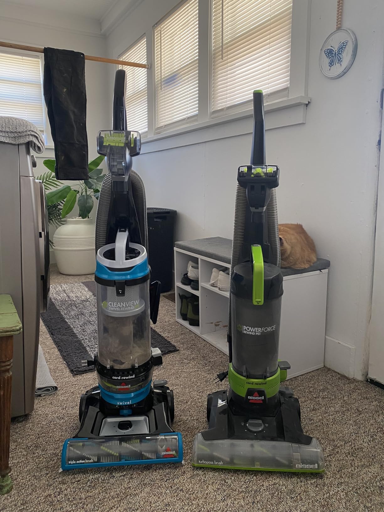 Bissell 2254 CleanView Swivel Rewind Pet Upright Bagless Vacuum, Automatic Cord Rewind, Swivel Steering, Powerful Pet Hair Pickup, Specialized Pet Tools, Large Capacity Dirt Tank, Teal customer photo 1
