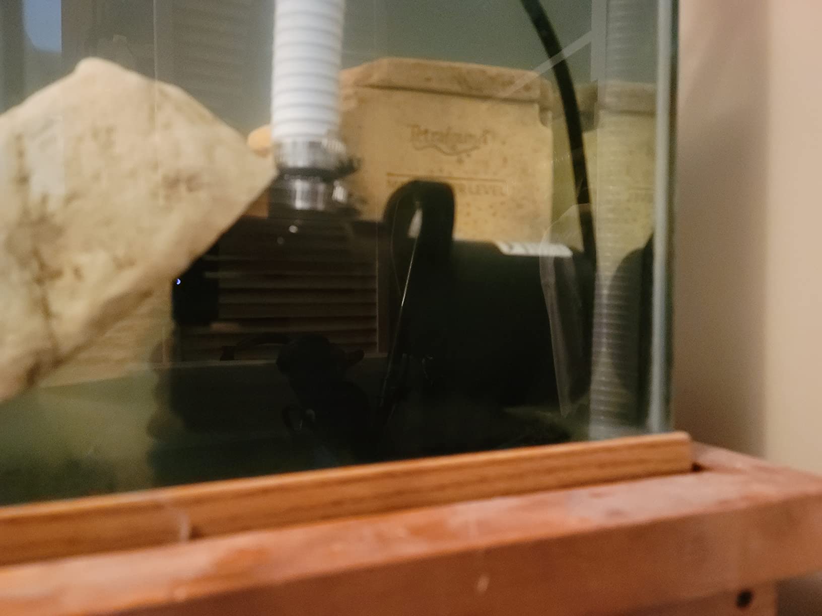 VIVOSUN 1600GPH Sub Water Pump for Pond Waterfall, Statuary, Hydroponics customer photo 2