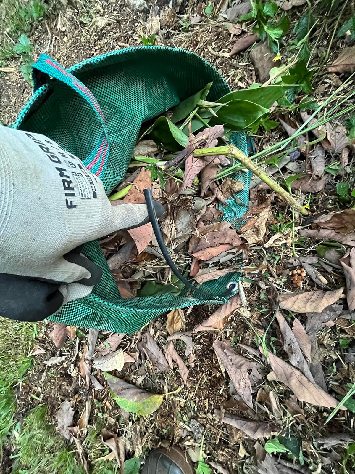 Standard 3-Pack 32 Gallon Lawn Garden Bags (D18,H30 inch) Yard Waste Bags with Gardening Gloves - Reusable Leaf Bags,Yard Debris,Trash Container,Plant Trimmings Bag,Grass Clippings,Weeds Bag 4 Handles customer photo 2