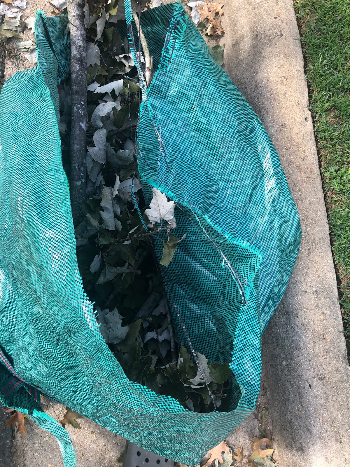 Professional 3-Pack 106 Gallon Large Lawn Garden Bags (D31,H31 inch) Reusable Big Yard Waste Bags with Gardening Gloves for Leaf Bag,Yard Debris,Garden Pruning,Lawn Clippings Bag,Weeds Bag 4 Handles customer photo 2