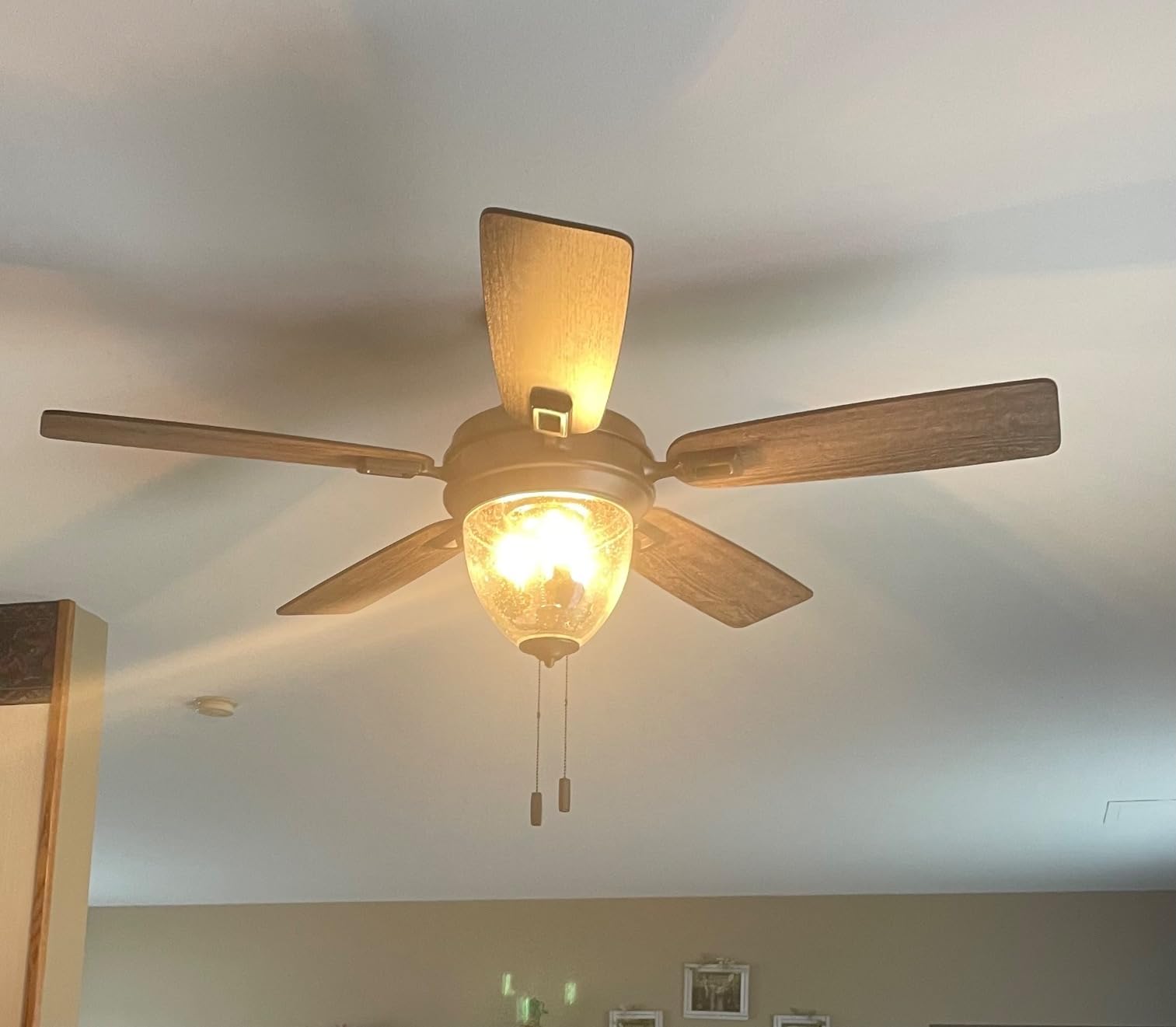 Honeywell Ceiling Fans Glencrest, 52 Inch Indoor Outdoor LED Ceiling Fan with Light, Pull Chain, Dual Mounting Options, ETL Damp Rated, Dual Finish Blades, Reversible Motor - 50615-01 (Bronze) customer photo 1