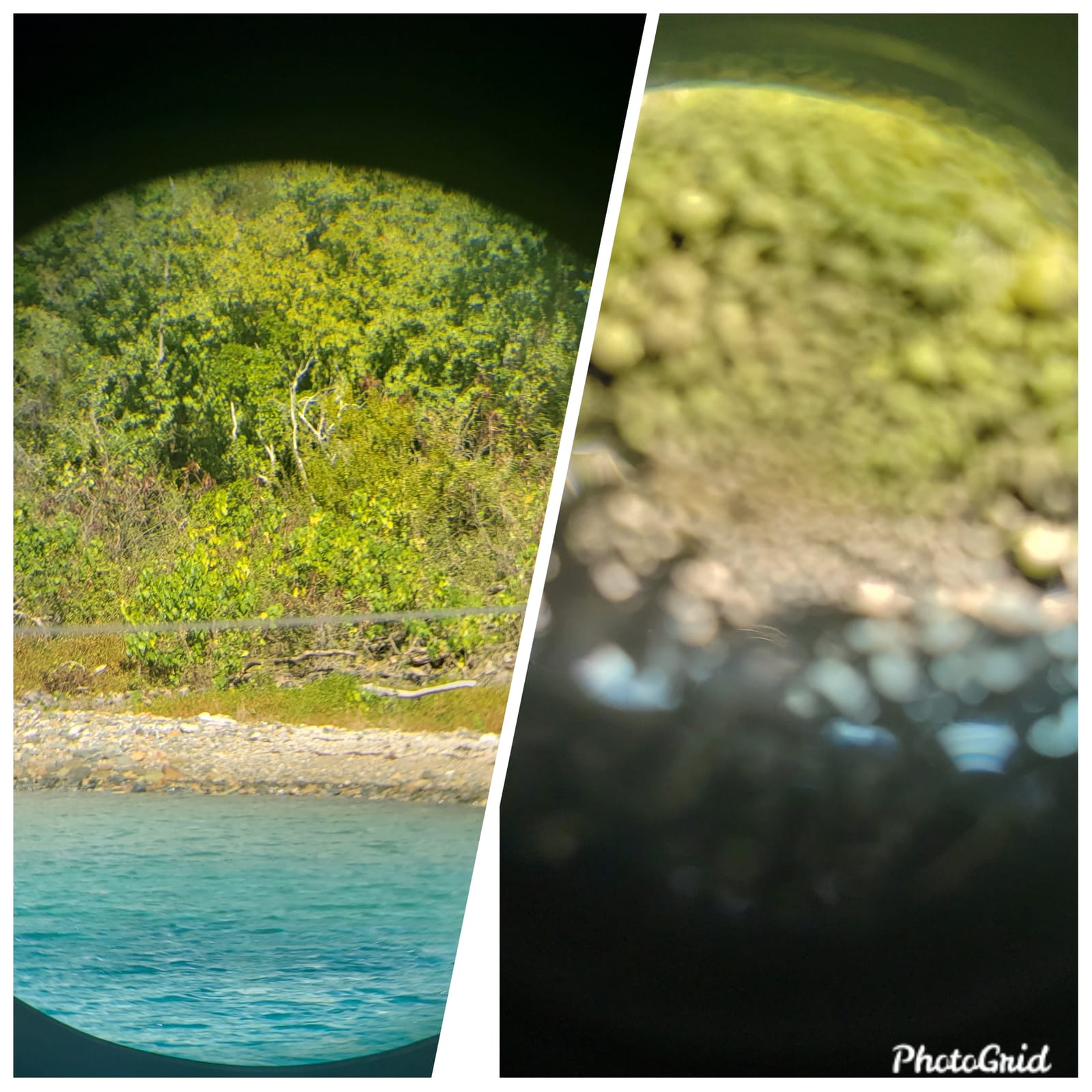 ESSLNB 7x50 Marine Binoculars, IPX7 Waterproof with Compass & Rangefinder customer photo 1