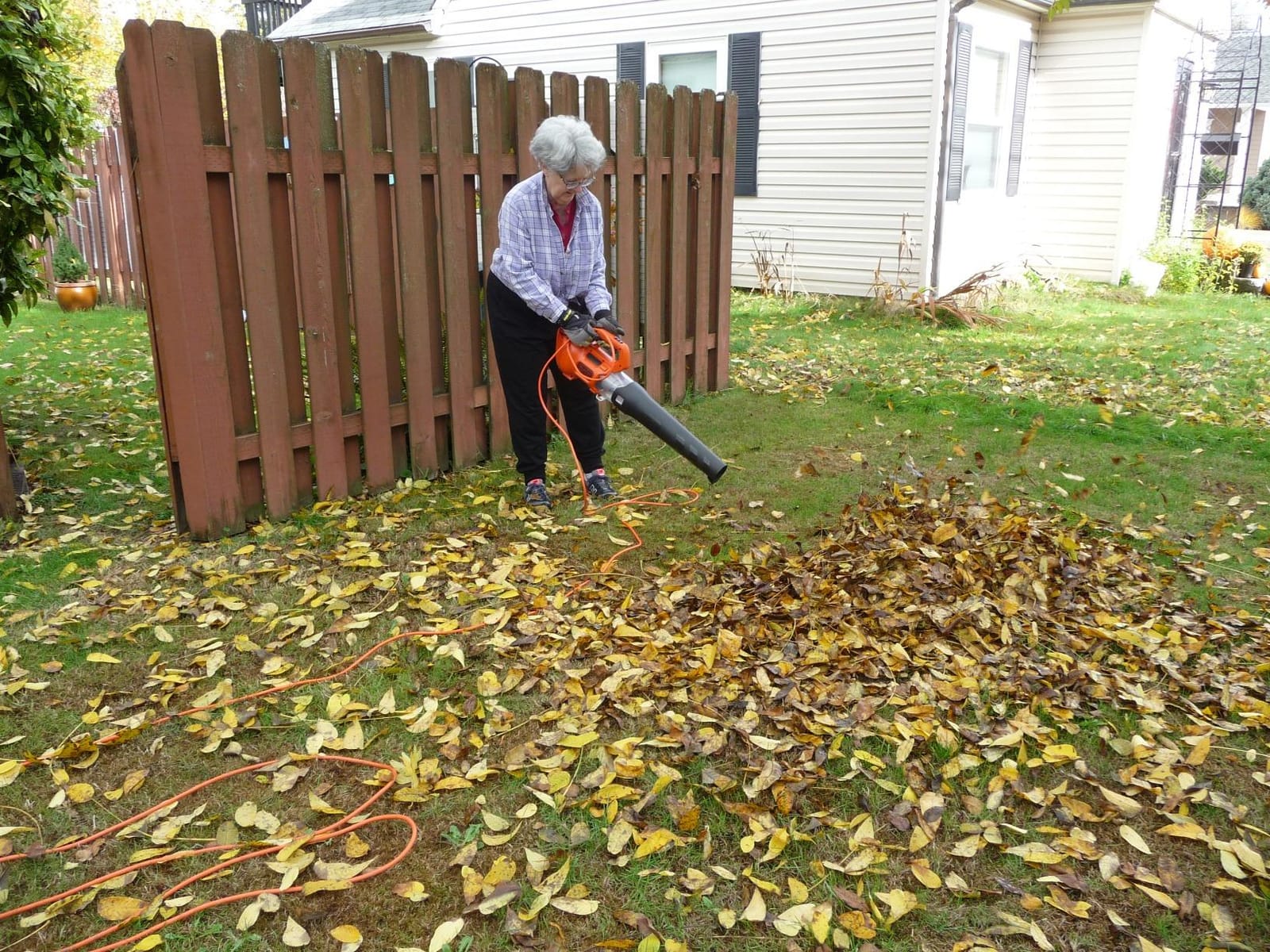 BLACK + DECKER Electric Leaf Blower, Hand Held Blowers for Lawn Care, Up to 450 CFM and 140 MPH Power, Axial, Lightweight, Corded (BEBL750) customer photo 2