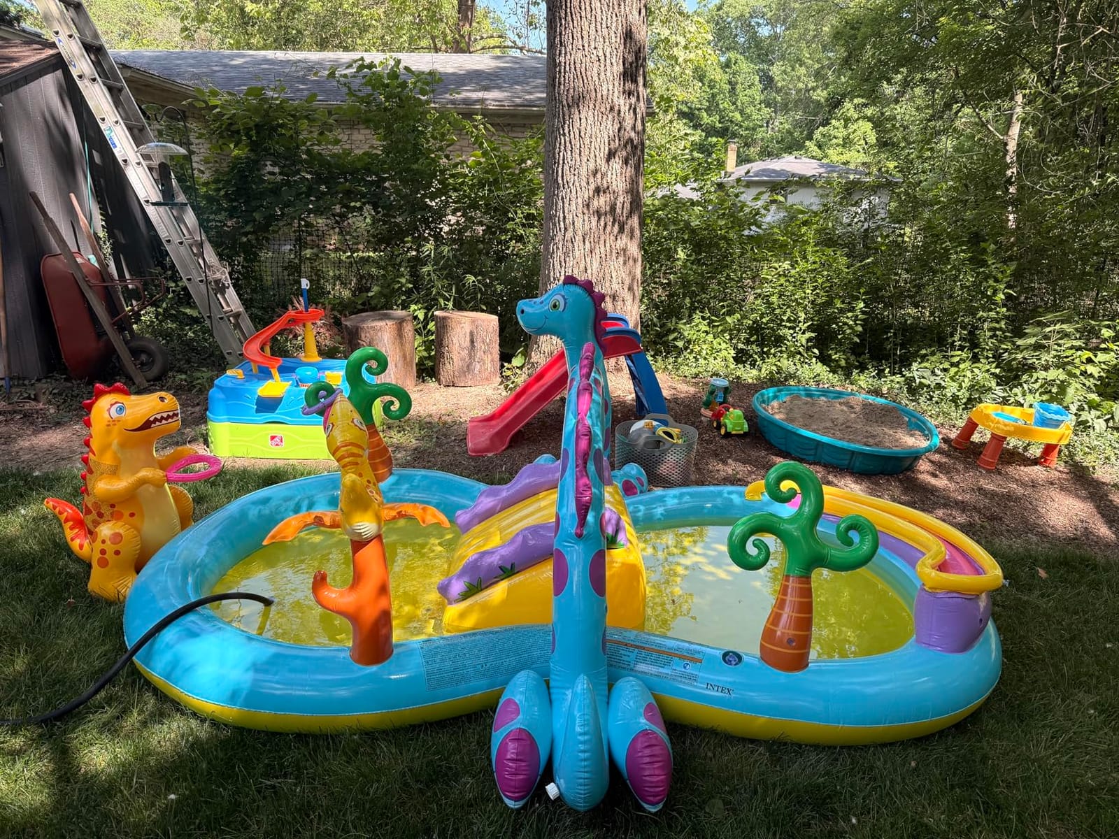 INTEX Jungle Adventure Inflatable Water Slide Park & Kiddie Swimming Pool customer photo 1