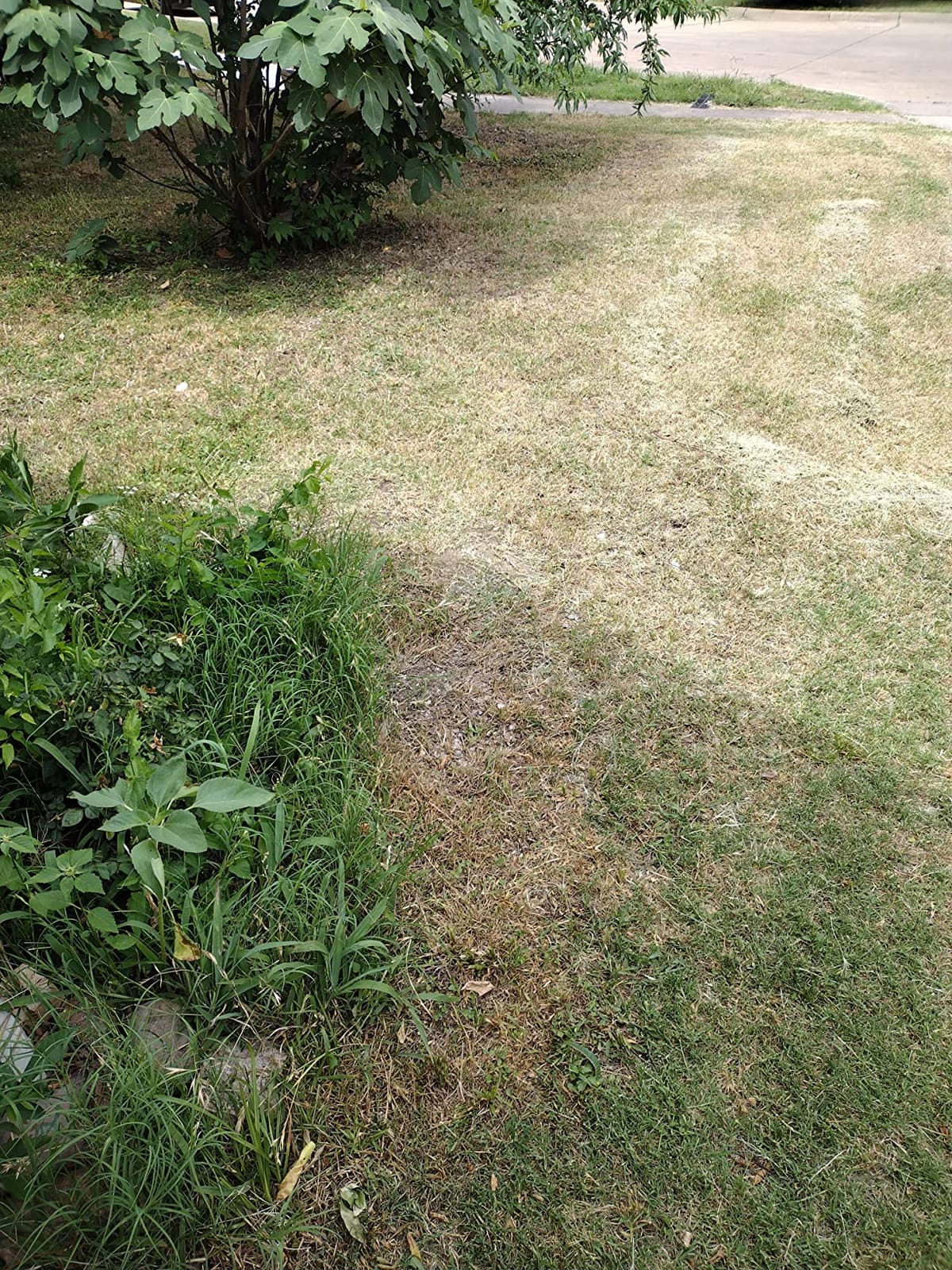 Greenworks 40V 21in Push Lawn Mower, 5.0 Ah Battery and Charger customer photo 2